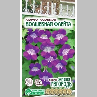 Азарина Волшебная Флейта