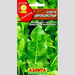 Щавель Широколистный