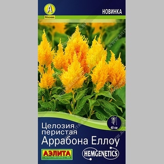 Целозия Аррабона Еллоу (перистая)