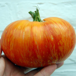 Томат Королевская красота