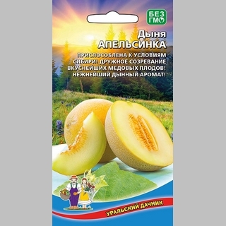 Дыня Апельсинка