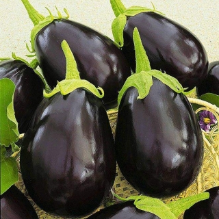 Баклажан Мурмаш F1