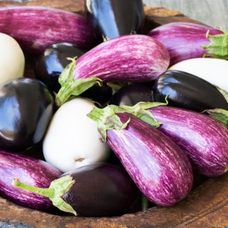 Баклажан Икорный рай смесь