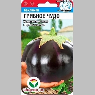 Баклажан Грибное чудо