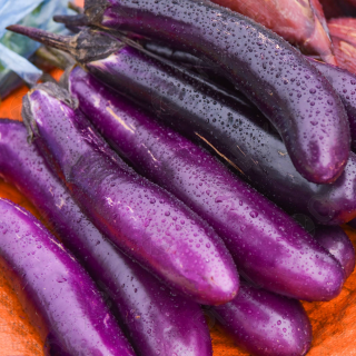 Баклажан Юкари F1