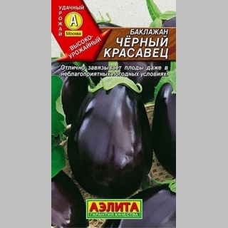 Баклажан Черный красавец
