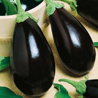 Баклажан Черный витязь F1