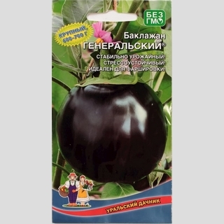 Баклажан Генеральский