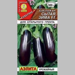 Баклажан Сытая зима F1