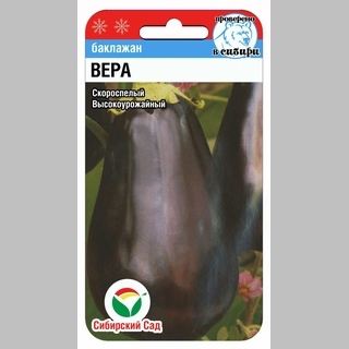 Баклажан Вера