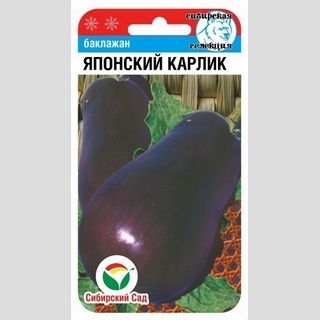 Баклажан Японский карлик