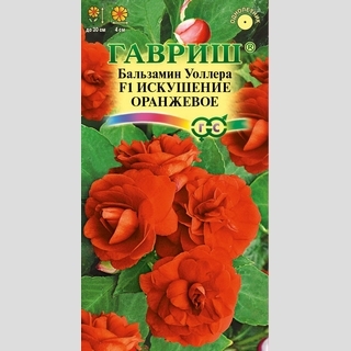 Бальзамин Искушение оранжевое F1 (Уоллера)