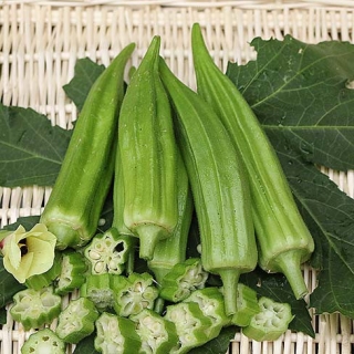 Бамия Красавица