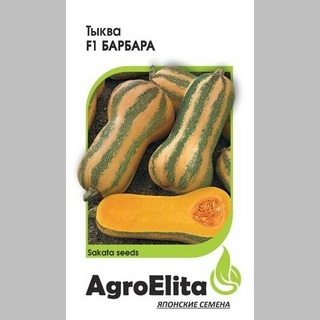 Тыква Барбара F1