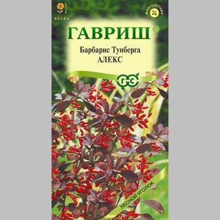 Барбарис Алекс (Тунберга)