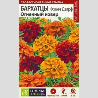 Бархатцы Френч Дварф Огненный ковер