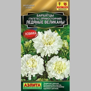 Бархатцы Ледяные великаны