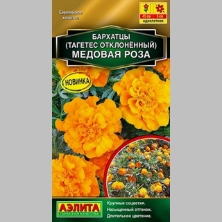 Бархатцы Медовая роза