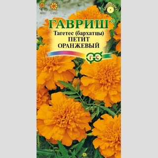 Бархатцы Петит Оранжевый
