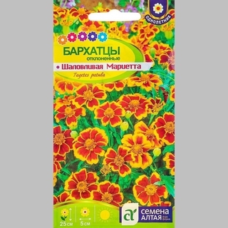 Бархатцы Шаловливая Мариетта