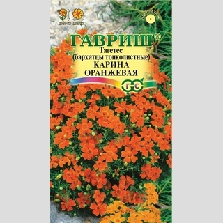 Бархатцы Карина оранжевая