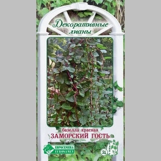 Базелла Заморский гость (красная)