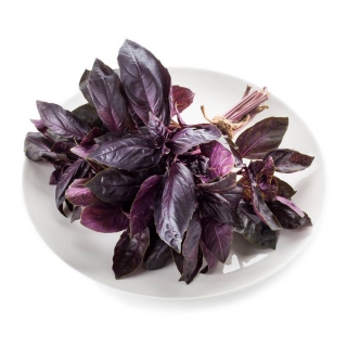 Базилик Бакинский дворик