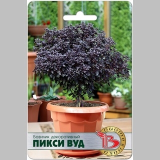 Базилик Пикси Вуд (декоративный)