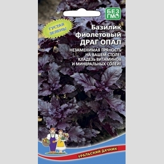 Базилик Драг Опал фиолетовый