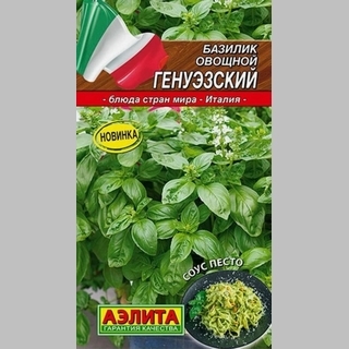 Базилик Генуэзский