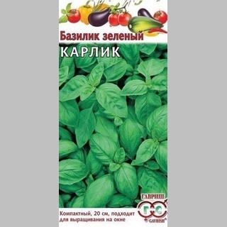 Базилик Карлик Зеленый