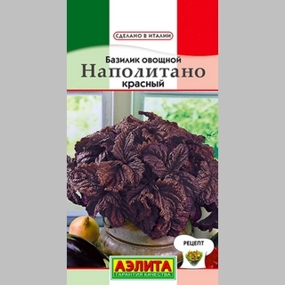 Базилик Наполитано красный