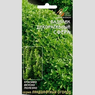 Базилик Сфера (декоративный)