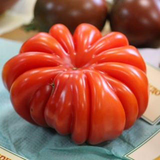 Томат Лотарингская красавица красная