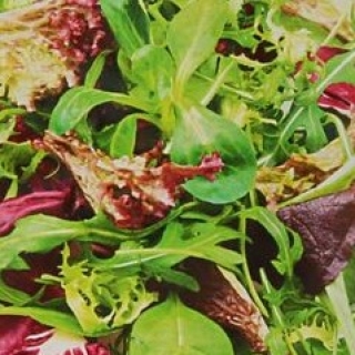 Бэби салат Греческое удовольствие смесь (Лидер)