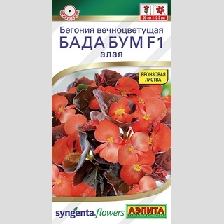 Бегония Бада бум F1 алая