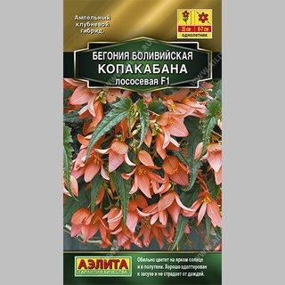 Бегония Копакабана F1 лососевая боливийская