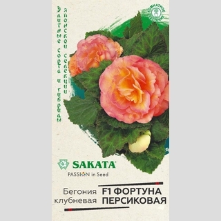 Бегония Фортуна Персиковая F1 клубневая