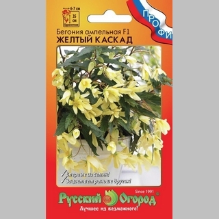 Бегония Желтый каскад F1 ампельная