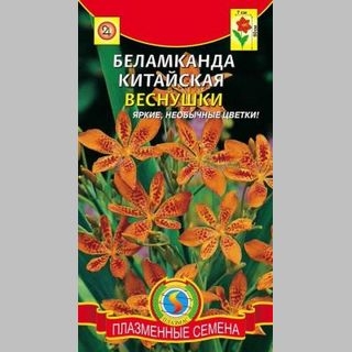 Беламканда Веснушки китайская