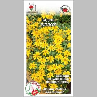 Биденс Еллоу