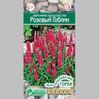 Вероника Розовый гоблин (колосистая)