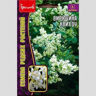 Бирючина Квихоу (большой пакет)