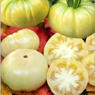 Томат Вальс Бостон