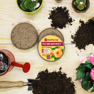 Почвобрикет Бегония 2,5л круглый БиоМастер