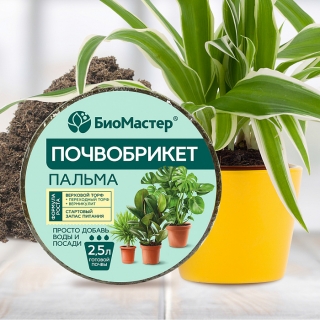 Почвобрикет Пальма 2,5л