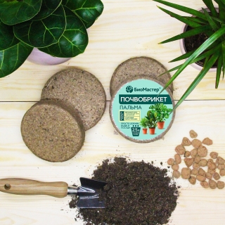 Почвобрикет Пальма 2,5л