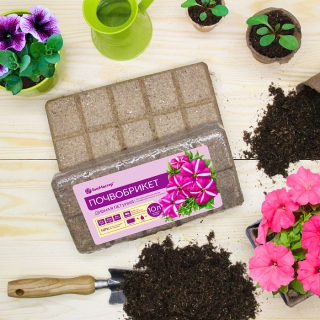 Почвобрикет Дивная петуния 10л