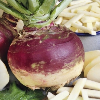 Брюква Красносельская