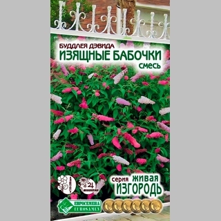 Буддлея Изящные Бабочки смесь